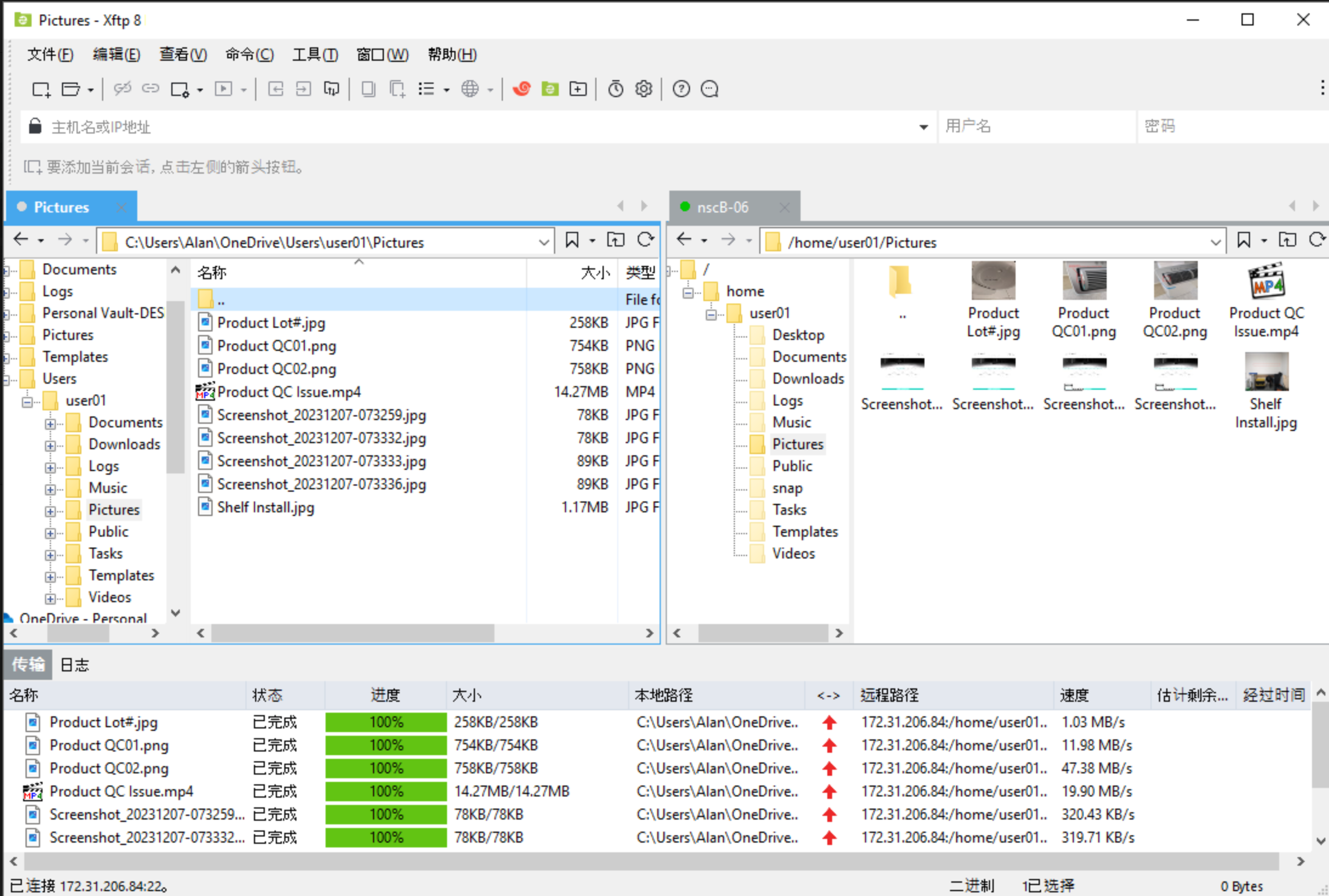 Xftp-8.0.0110p 界面预览